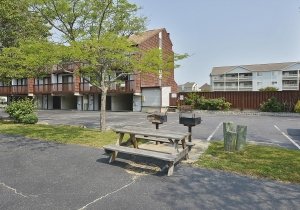 amenity-harbour-bay-picnicbbq-area-dsc2948.jpg