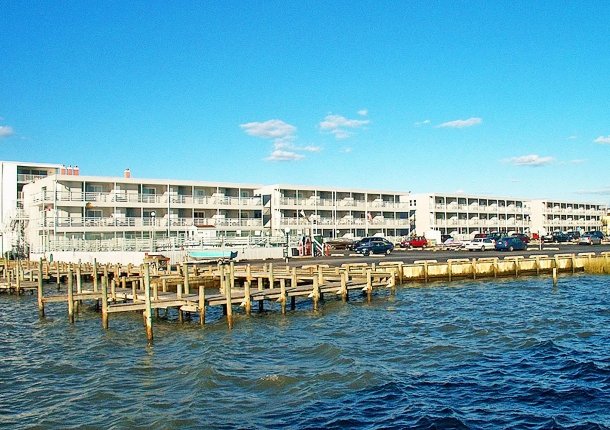 bradleyonthebay.jpg