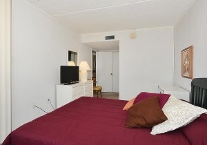 482-8.jpg