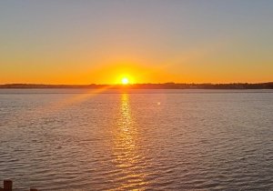 106l-sunet.jpg