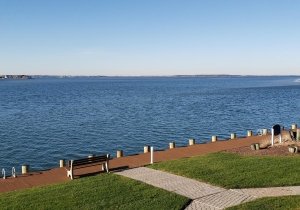 2022-patio-view.jpg