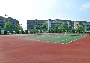 harbourislandtennis.jpg