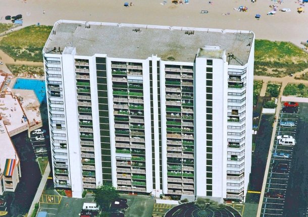 irene-01.jpg