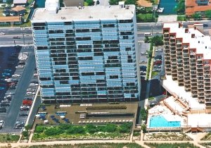 irene-02.jpg
