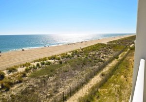 ocean-place-416-2022102204.jpg