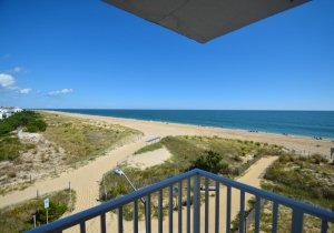 ocean-place-416-2022102206.jpg