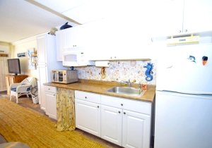 beachhaven-305-2023080508.jpg