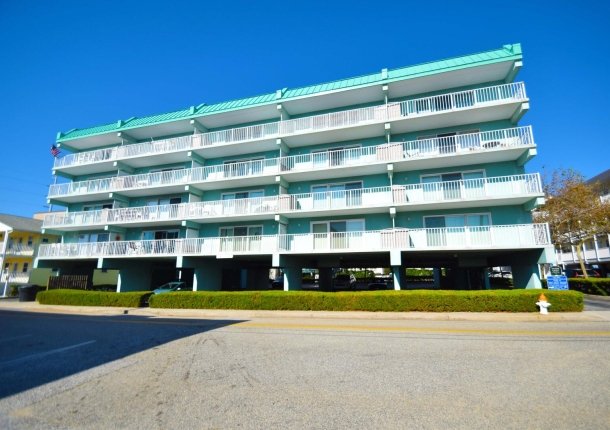 surfwoood-203-2023110201.jpg
