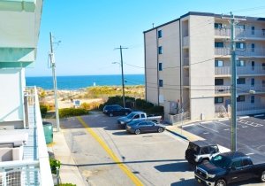 surfwoood-203-2023110203.jpg