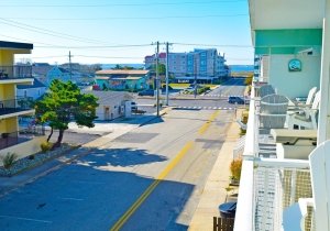 surfwoood-203-2023110204.jpg