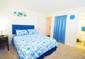 coral-reef-311-2024110409.jpg