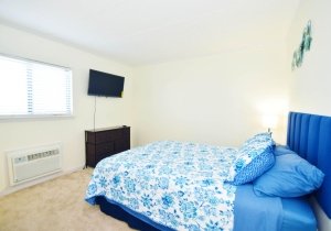 coral-reef-311-2024110411.jpg