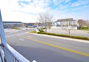 jamaica-ii-206-2025120901.jpg jamaica-ii-206-2025120901.jpg