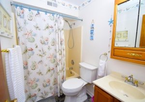 jamaica-ii-206-2025120903.jpg jamaica-ii-206-2025120903.jpg