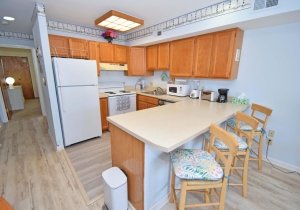 jamaica-ii-206-2025120907.jpg jamaica-ii-206-2025120907.jpg