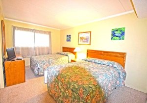 681-09-20180127.jpg 681-09-20180127.jpg