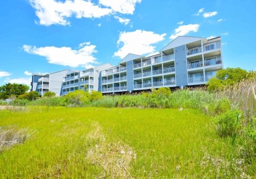 Oasis on the Bay 310