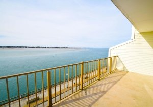 crab-cove-406-2022022302.jpg