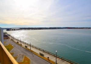 crab-cove-406-2022022303.jpg