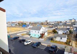 crab-cove-406-2022022304.jpg