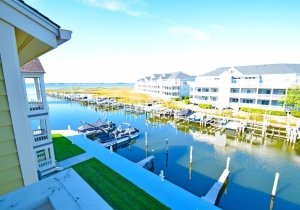 seascape-heron-harbour-206-10-2023102702.jpg