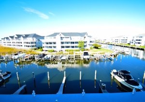seascape-heron-harbour-206-10-2023102703.jpg